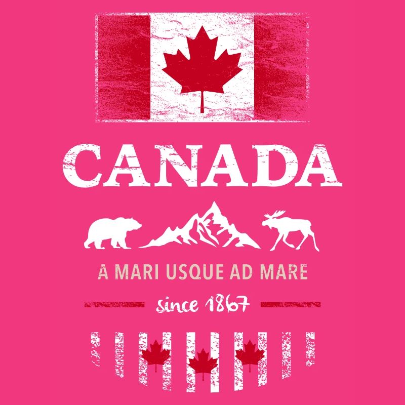 Canada Canada America maple leaf flag flag