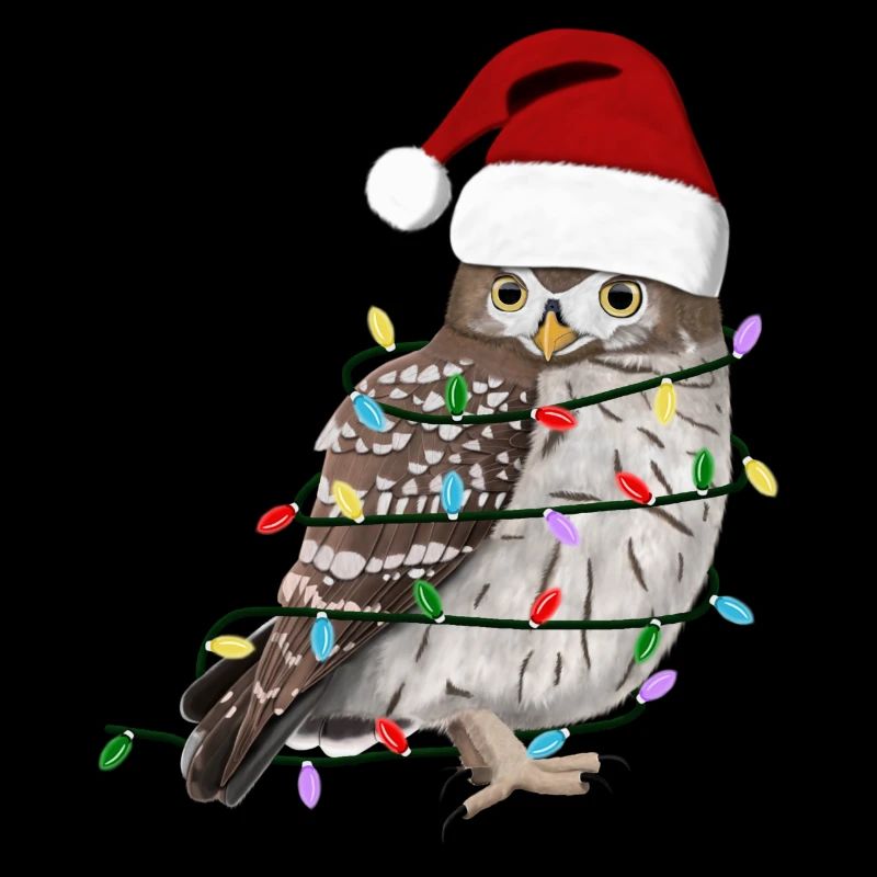 Owl String Lights Christmas Bird Cap