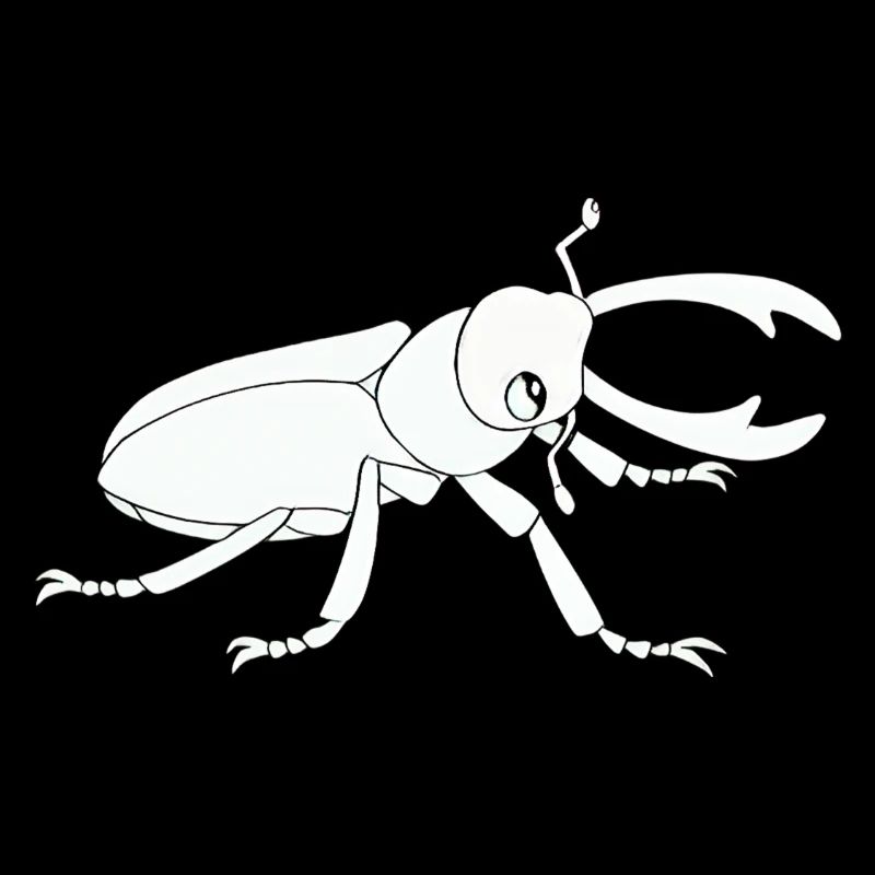 Insecte