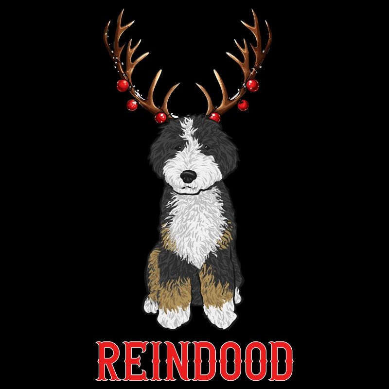 Bernedoodle Dog