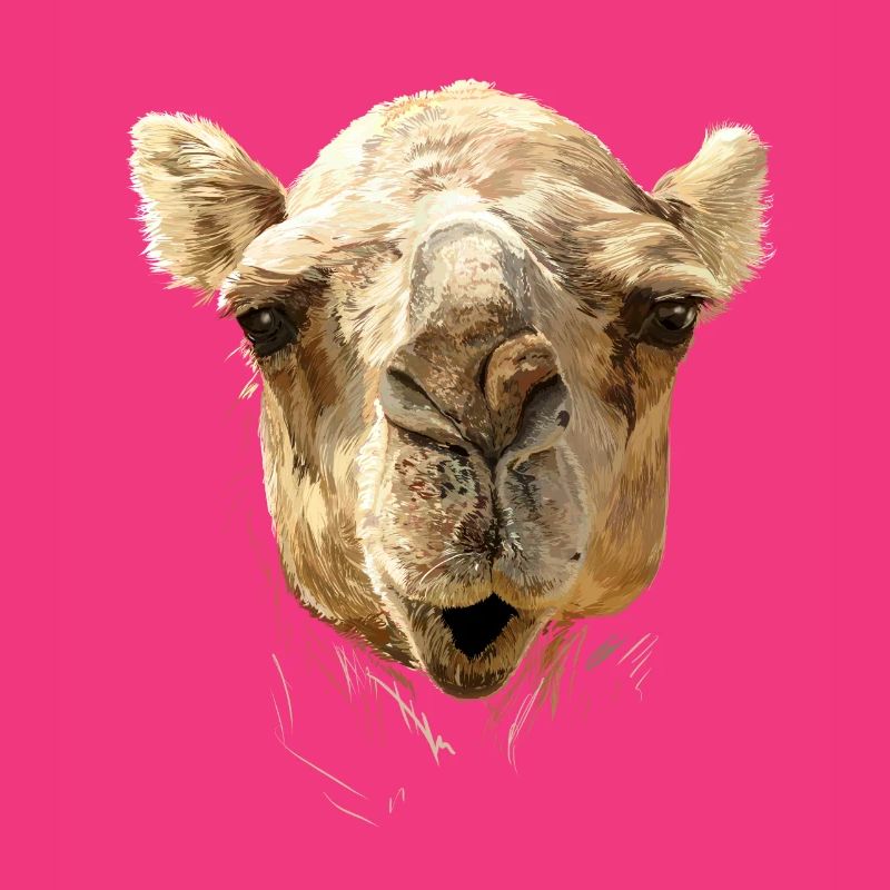 Camel