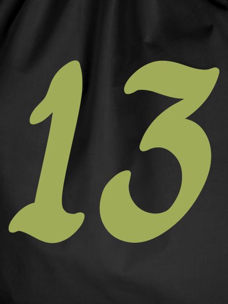 13