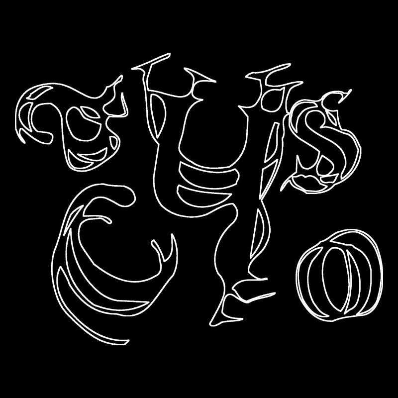 Chaos