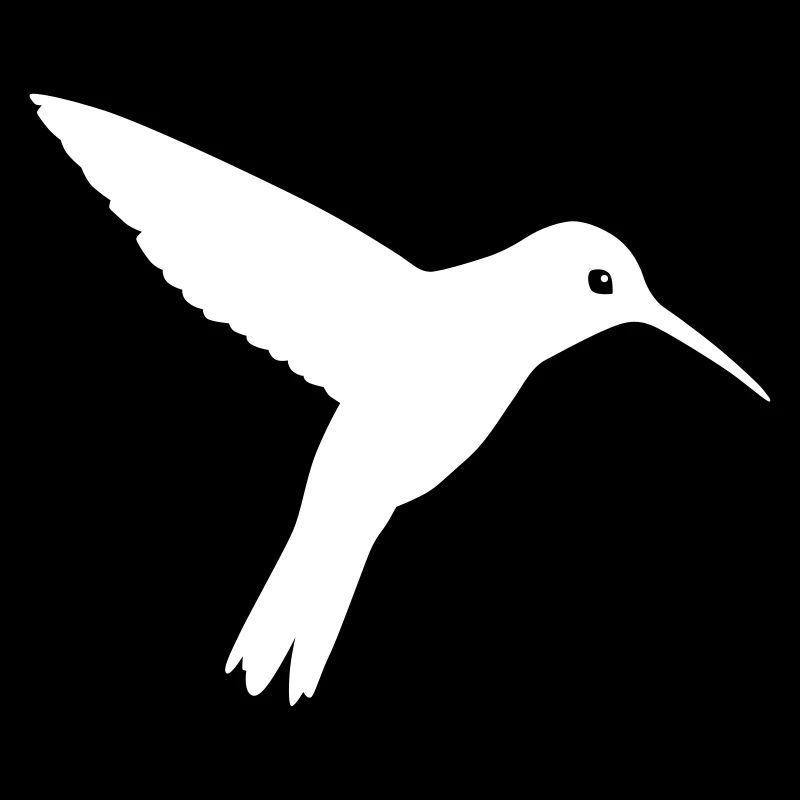 humming-bird