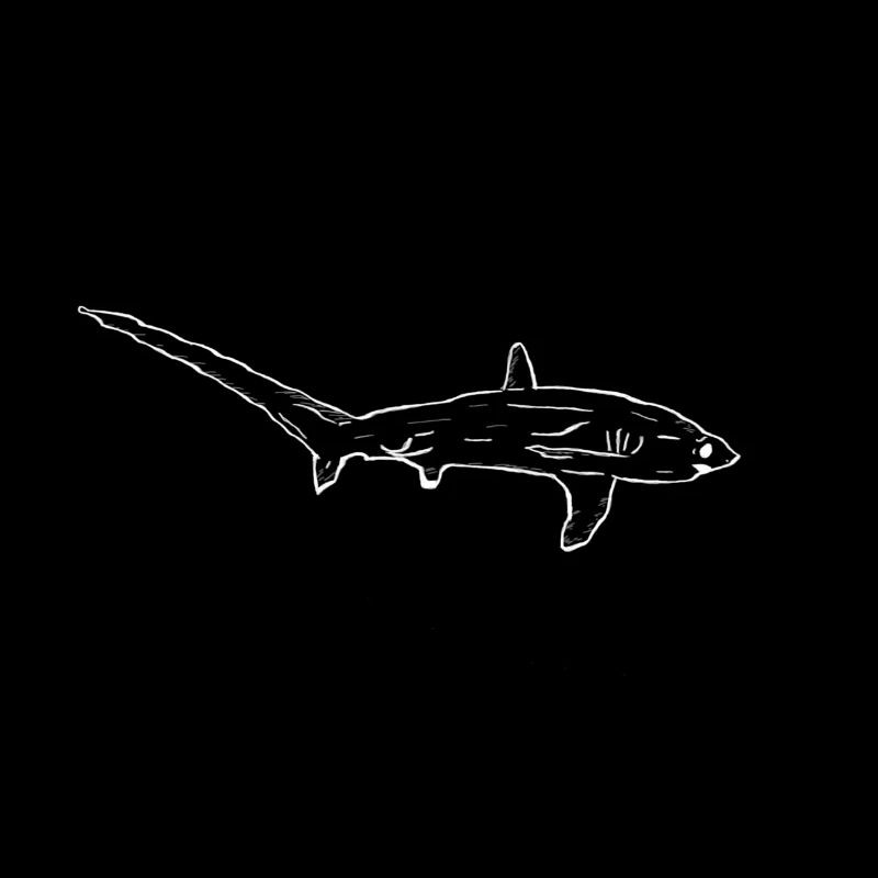 Requin-renard