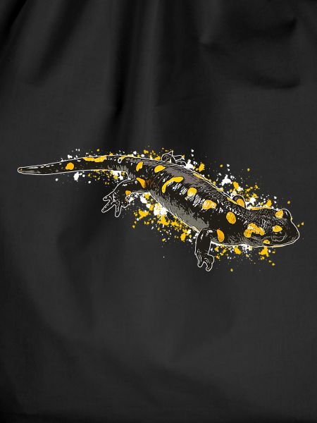 Feuersalamander Salamander