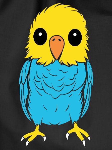 Cute little parakeet