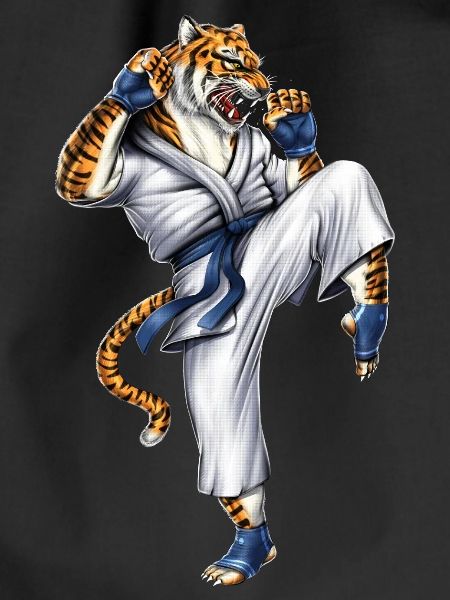 Martial Arts Tiger