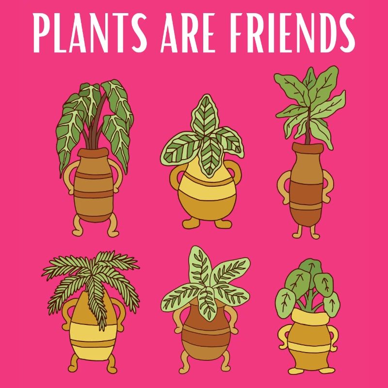 plant