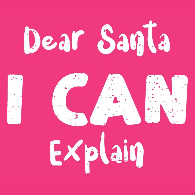 Dear Santa I Can Explain