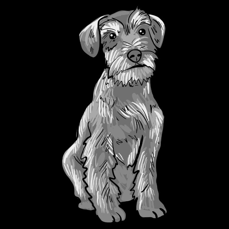 Schnauzer Hund
