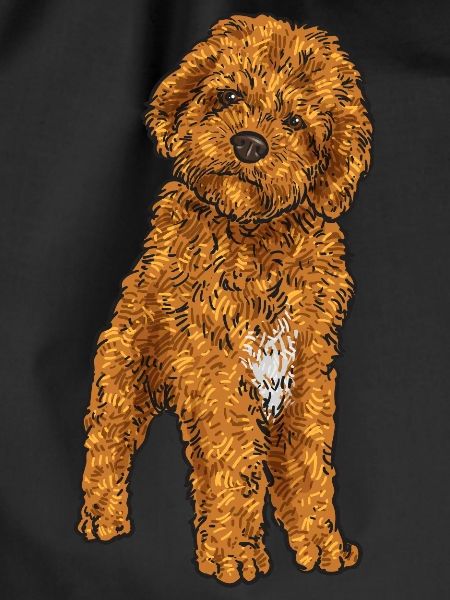 Cavapoo Capoodle Cavoodle Hund Geschenk