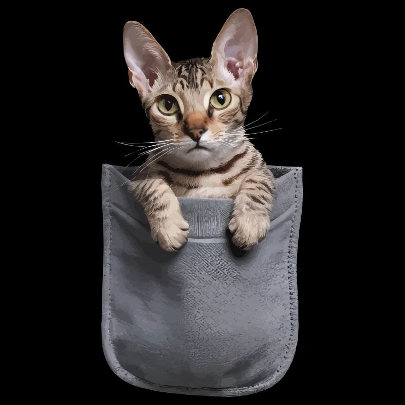 Devon Rex Katze in der Tasche Geschenk
