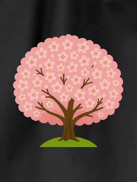 Kirschblüte