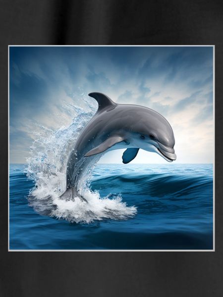 FOX0610 dolphin