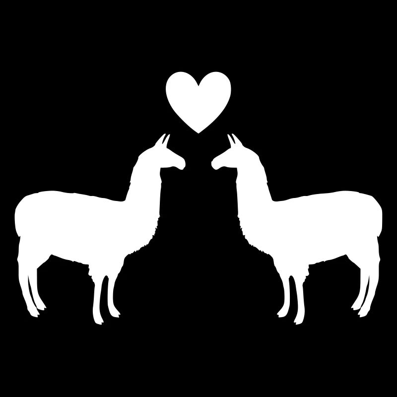 alpaca