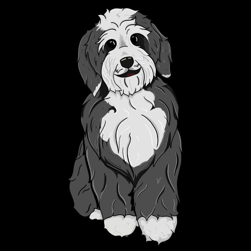 Bernedoodle Dog