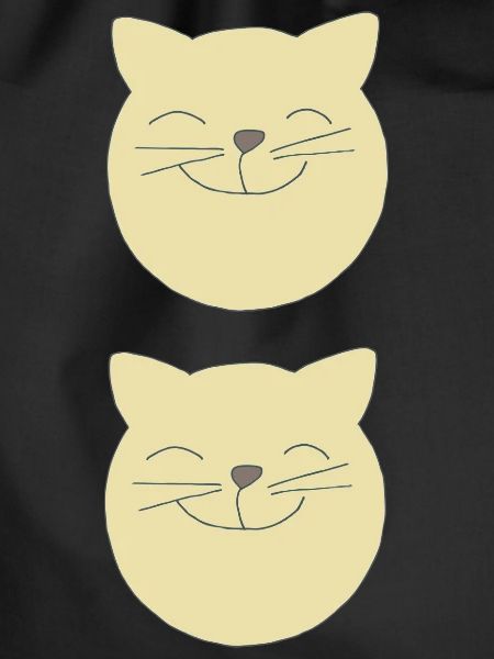 Katzen doppelt