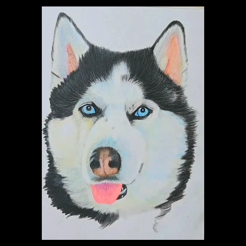 Husky