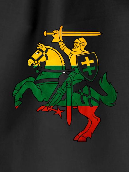 LTU VYTIS