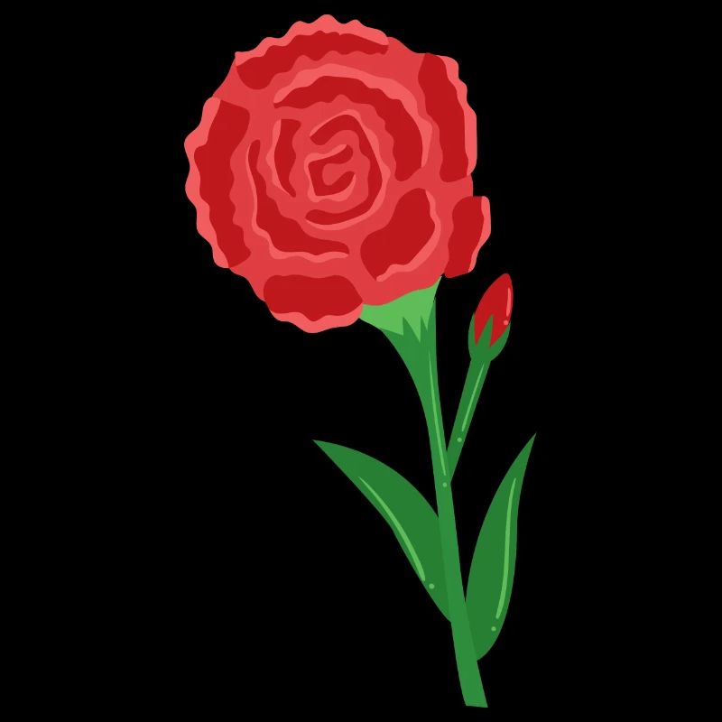 Carnation