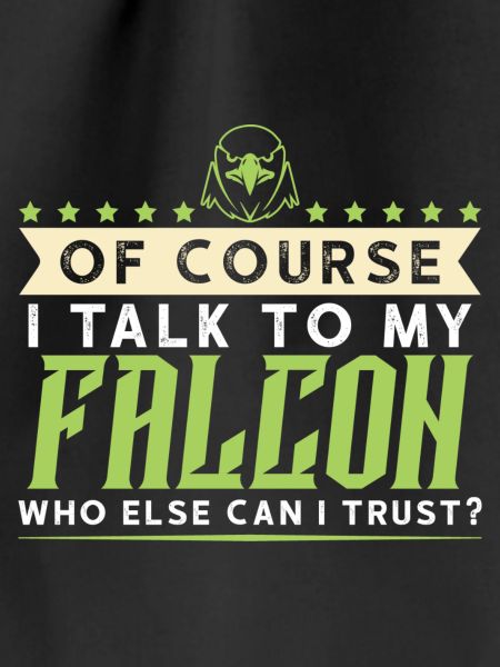 Falkerei Falke