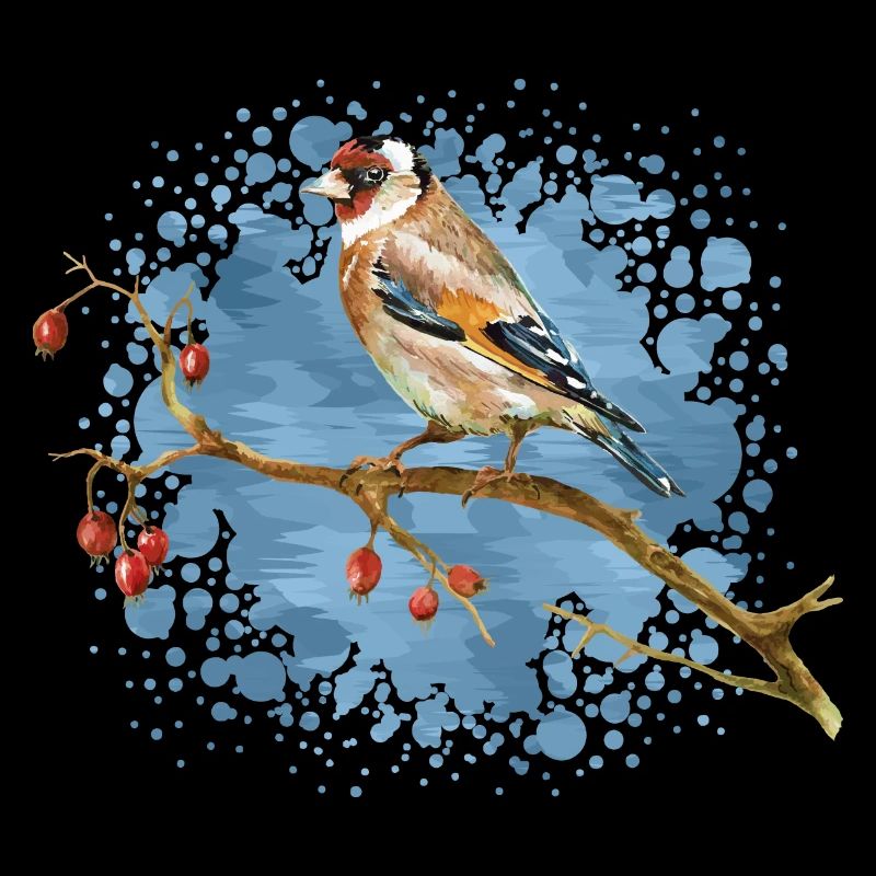Oiseau coloré