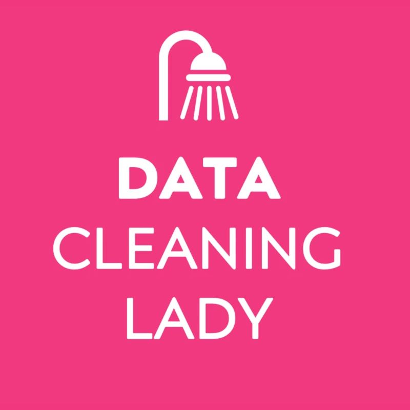 Data Scientist Designs: Data Cleaning Lady