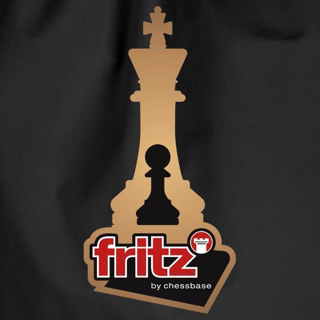 Fritz 19 Rey y Peón de ajedrez