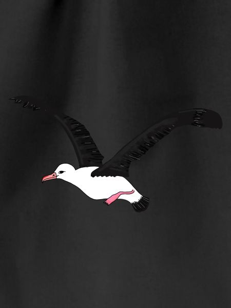 Albatros