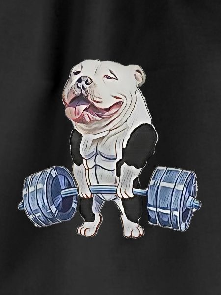 Muscle Bully