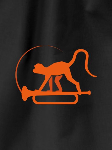 music monkey