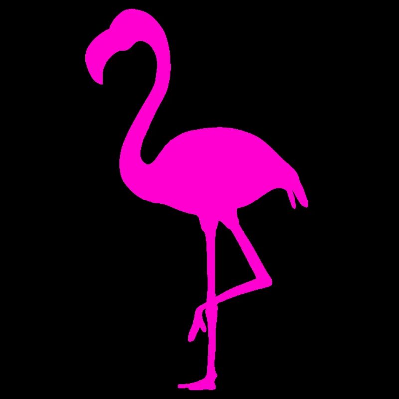 Flamingo Pink
