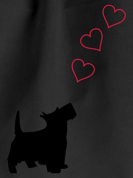 little dog