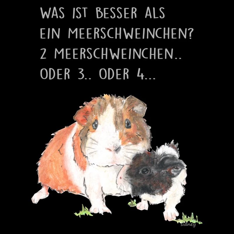 Wester Meerschweinchen