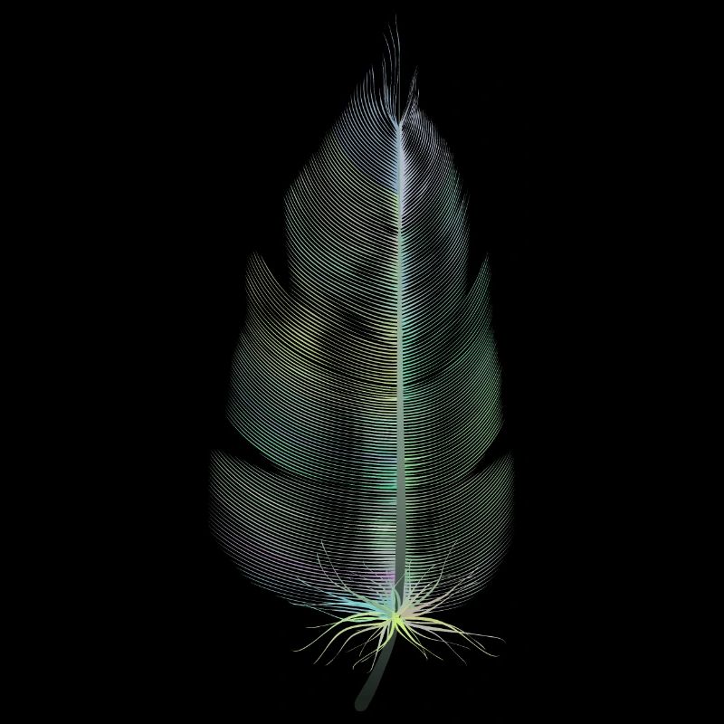 colored feather