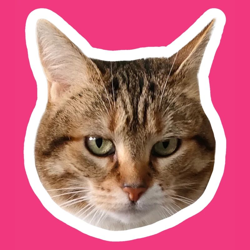 Missty Sad Decal