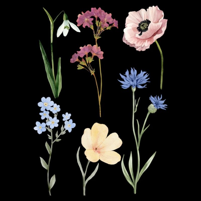 Pflanzen Blumen Blüte