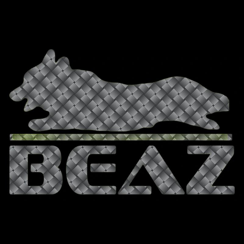 BEAZ Logo 002