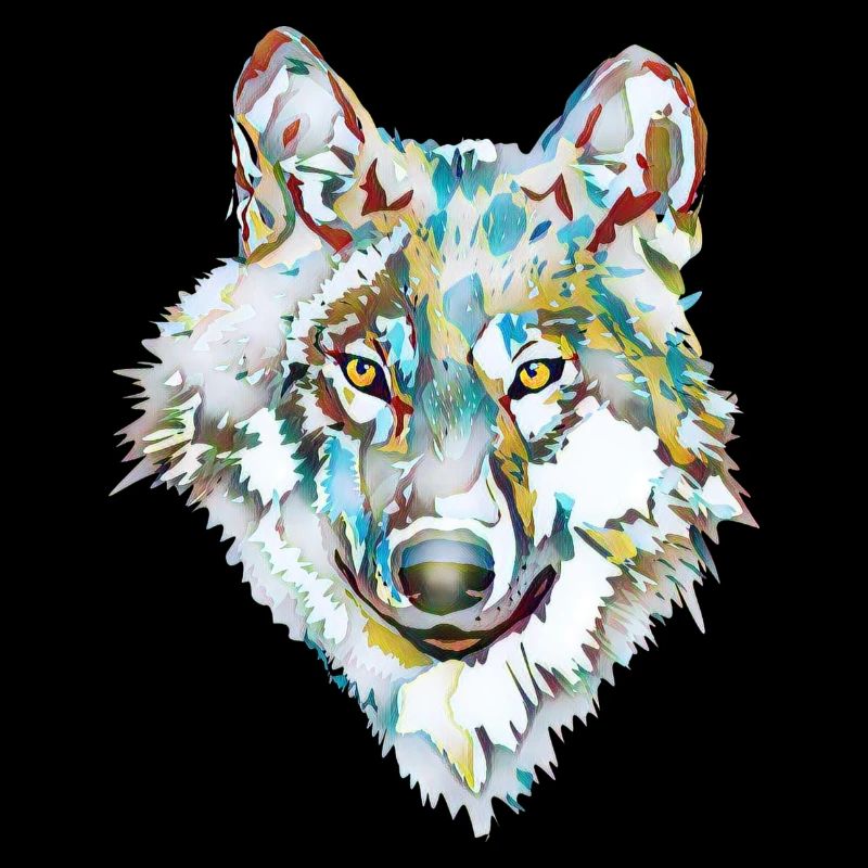 Hund Wolf Eis
