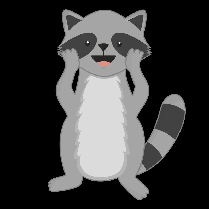 Raccoon Raccoons