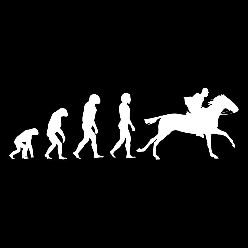 Pferde Pferd Reiten