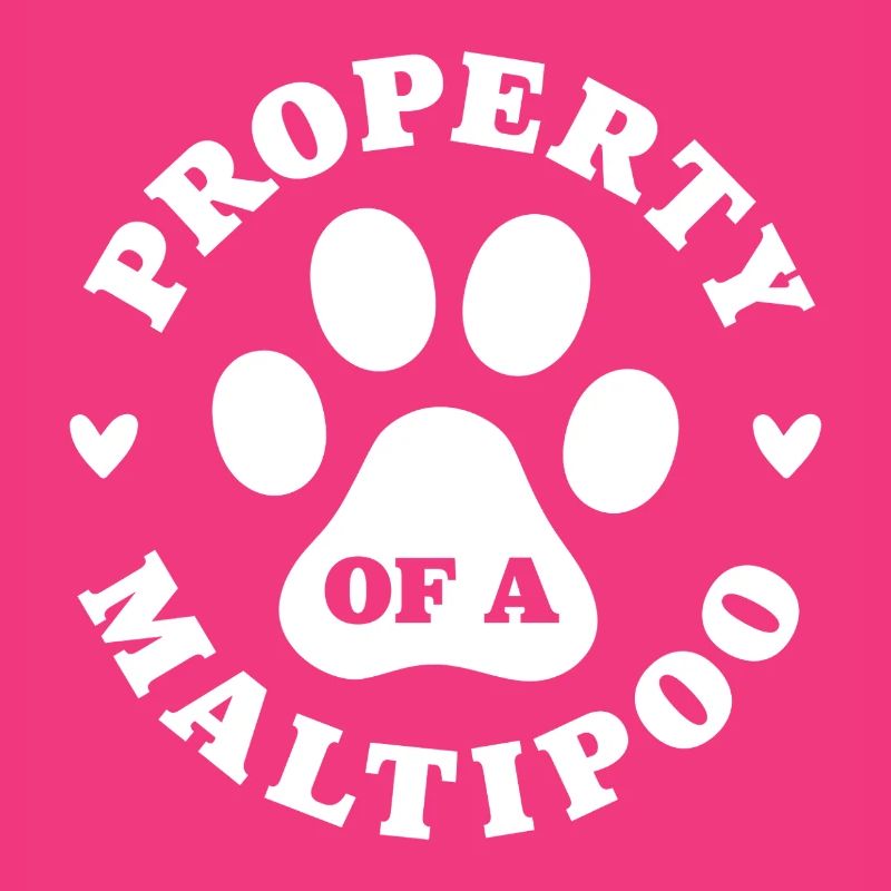 Eigentum eines Maltipoo