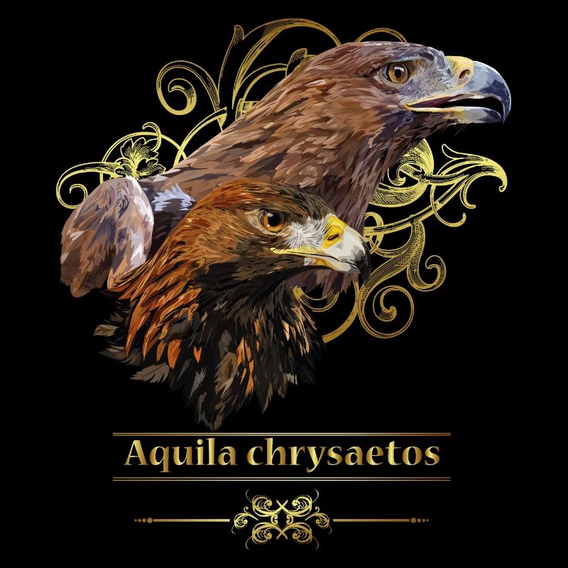 golden eagle