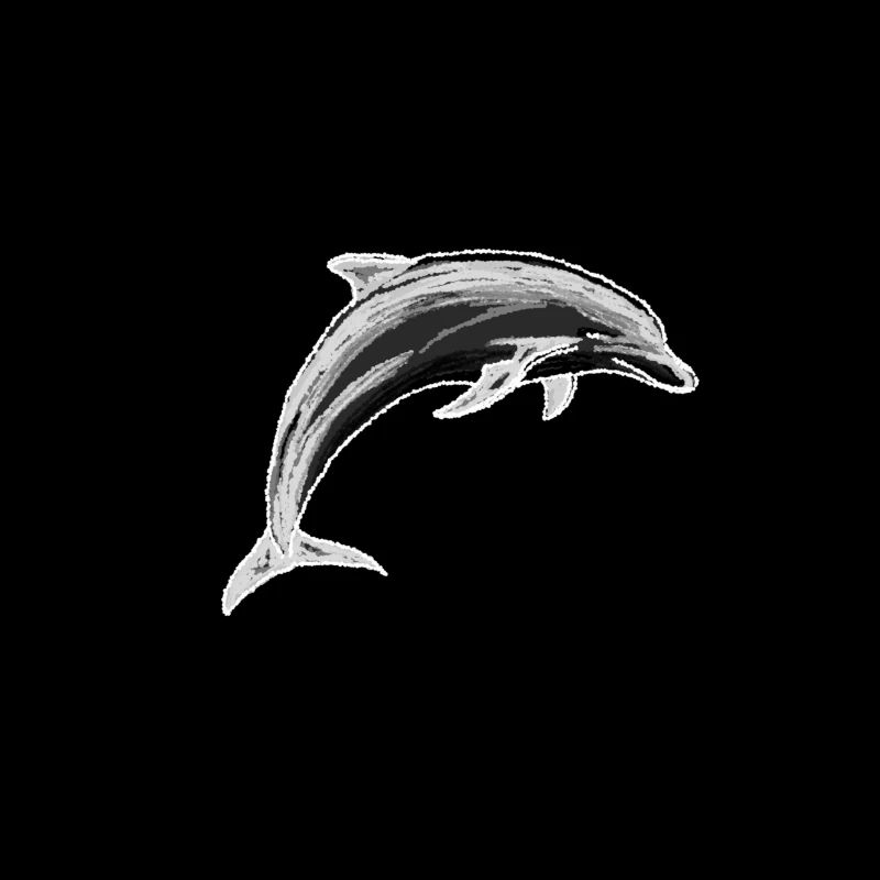 Dessin de dauphin | L’animal marin | Idée de cadeau