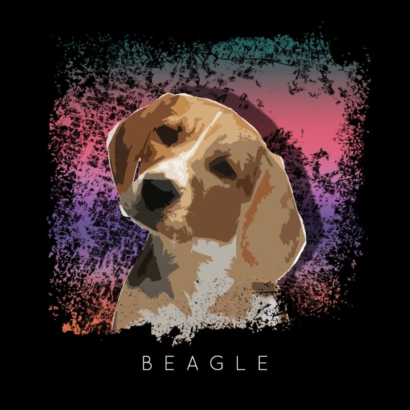 Beagle dog