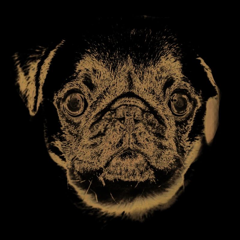 Mops