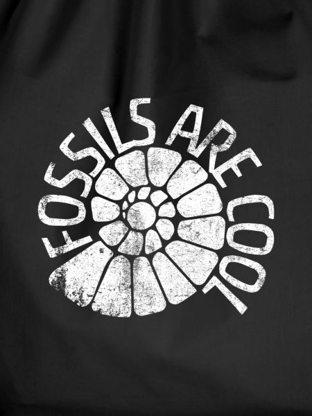 Fossils Are Cool