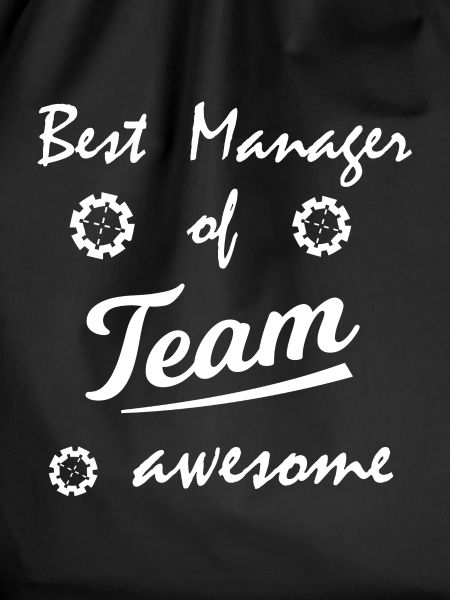 Der Team Manager
