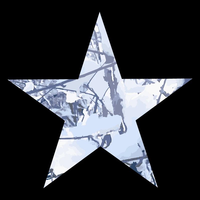 Star Winter Snow Digital Art